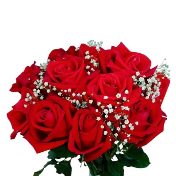 Buque 12 Rosas Vermelhas com Gipso