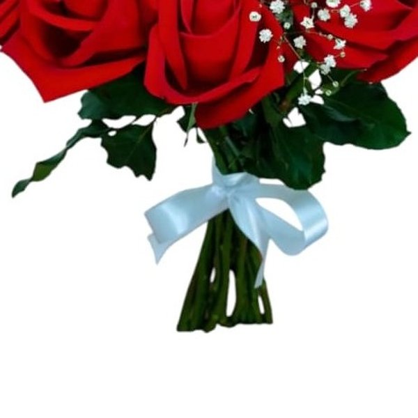 Buque 12 Rosas Vermelhas com Gipso