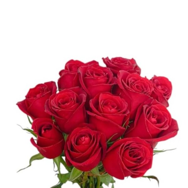 Buque 12 Rosas Vermelhas Paixão