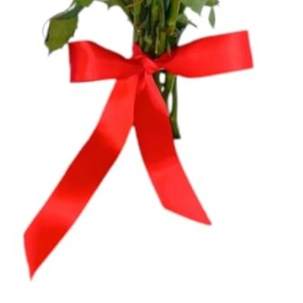 Buque 12 Rosas Vermelhas Paixão