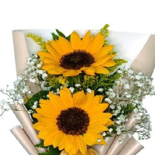 Ramalhete Girassol Luz Do Amanhecer Luxo 