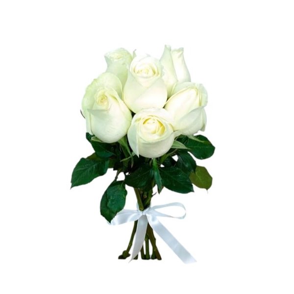 Buque 6 Rosas Brancas