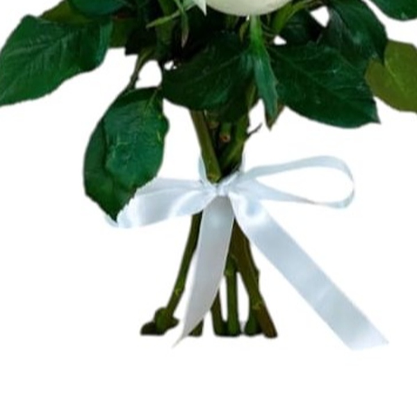 Buque 6 Rosas Brancas