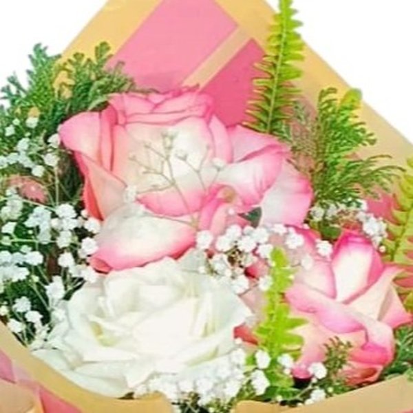 Buque 3 Lindas Rosas