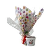 Bolo no Pote de Páscoa - Pronto para Presentear