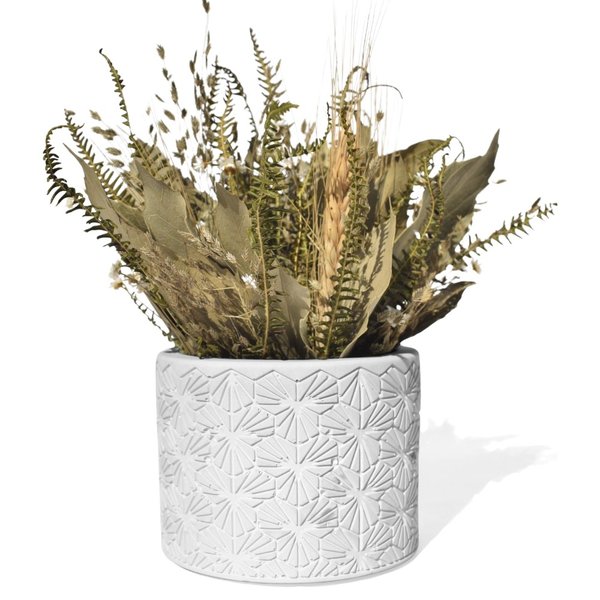 Arranjo De Flores Secas Decorativo Vaso Estados Bahia