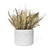 Arranjo De Flores Secas Decorativo Vaso Estados Rio