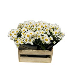 Imagem de Linda Caixa de Margaridas