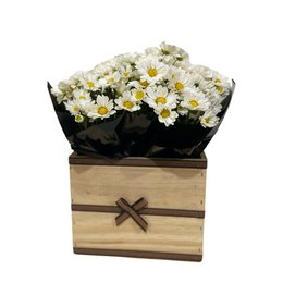 Imagem de Linda Margarida Cachepô 