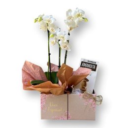 Imagem de Delicadeza em Dobro