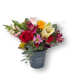 Imagem de Arranjo de Flores Coloridas em Balde Decorativo