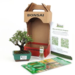 Imagem de Bonsai Serissa Rosa E Kit Para Cuidados