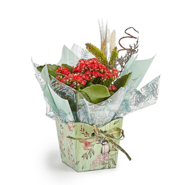 Imagem de Vaso de Kalanchoe Natural Personalizado 