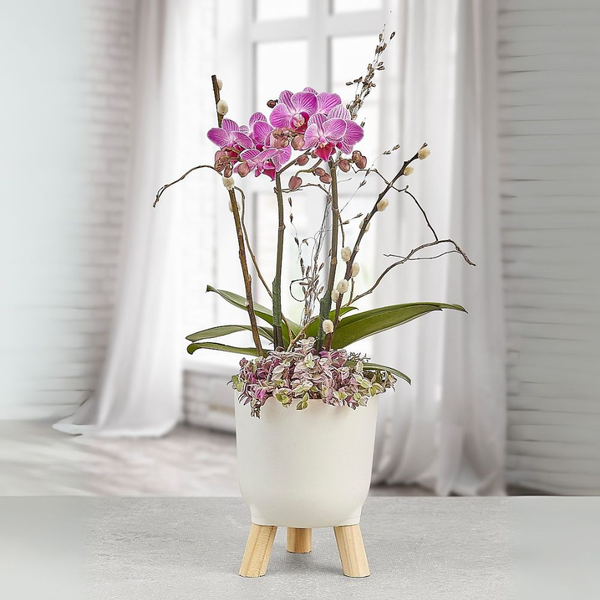 Arranjo Duo de Mini Orquídeas com Flores Secas