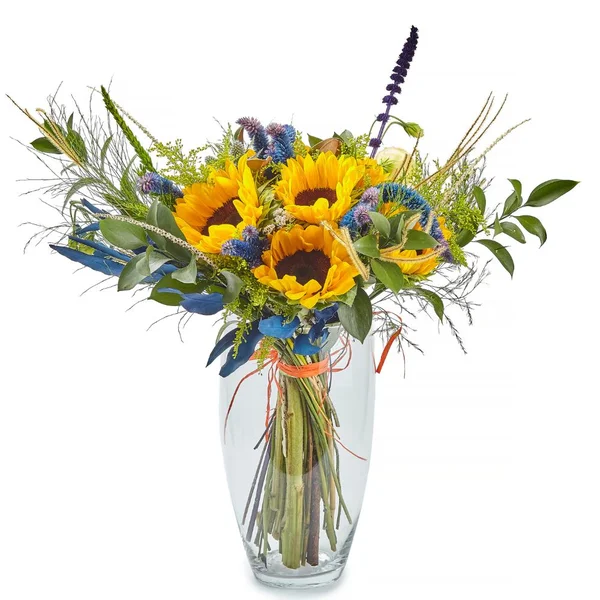 Buque de Girassóis Campos de Van Gogh