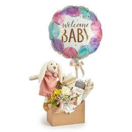 Imagem de Presente Welcome Baby Rose com Pelúcia