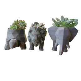 Imagem de Trio de Cachepôs Selva Suculenta