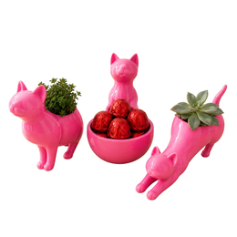 Imagem de Trio Gatinhos Bombom