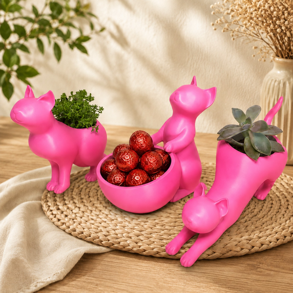 Trio Gatinhos Bombom