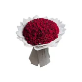 100 Rosas Vermelhas Encanto