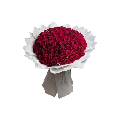 100 Rosas Vermelhas Encanto