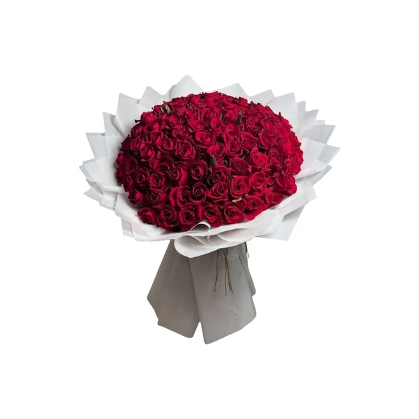 100 Rosas Vermelhas Encanto 