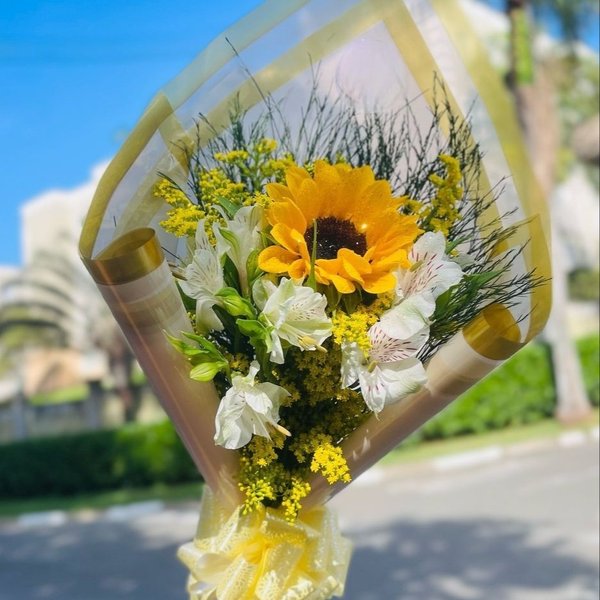 Lindo Arranjo  Único Amor