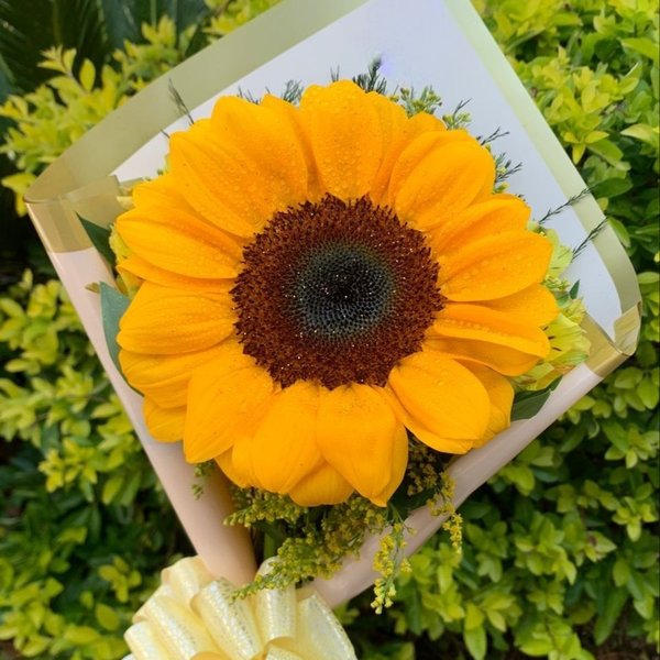 Lindo Arranjo  Único Amor