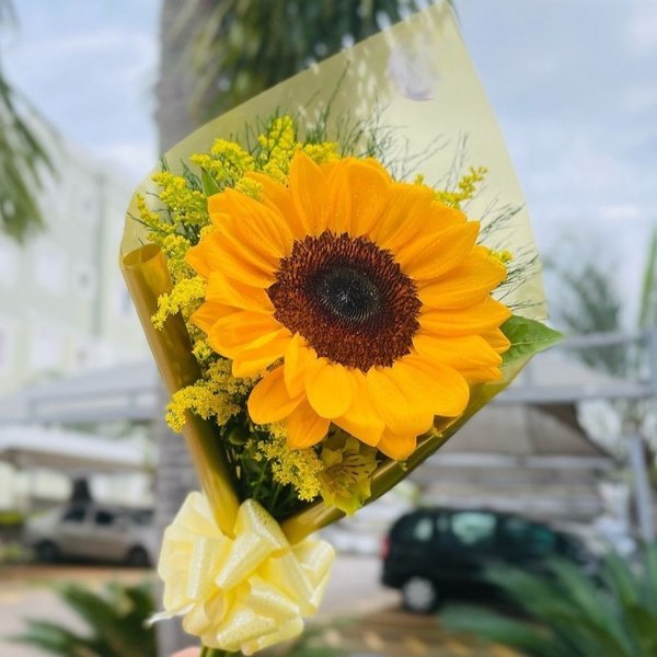 Lindo Arranjo  Único Amor