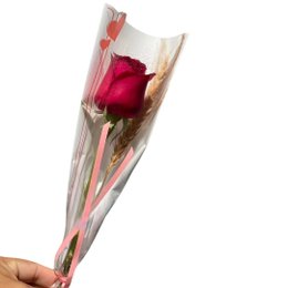 Imagem de Rosa Solitária Especial