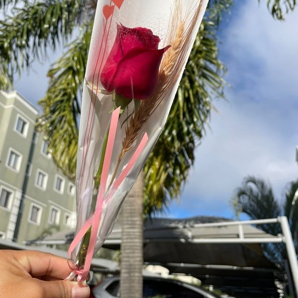 Rosa Solitária Especial