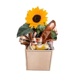 Imagem de Box Girassol com Ferrero 