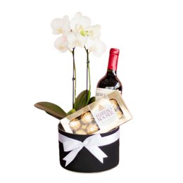 Imagem de Box de Orquídea Excelence