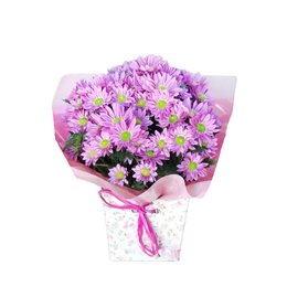 Imagem de Mini Margaridas 