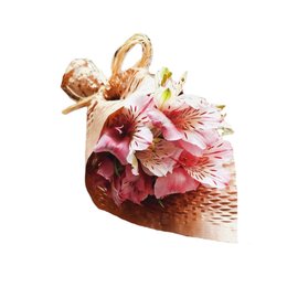 Imagem de Mini Buquê de Astromélias Rosas 