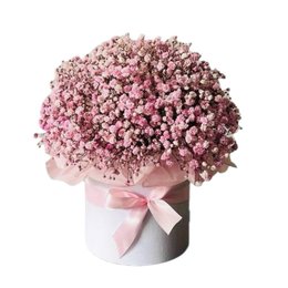 Imagem de Caixa Memory 