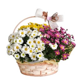 Imagem de Cesta campestre