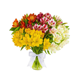 Imagem de Arranjo de Astromélias Coloridas no Vaso