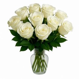 Imagem de Doze Brancas no Vaso	