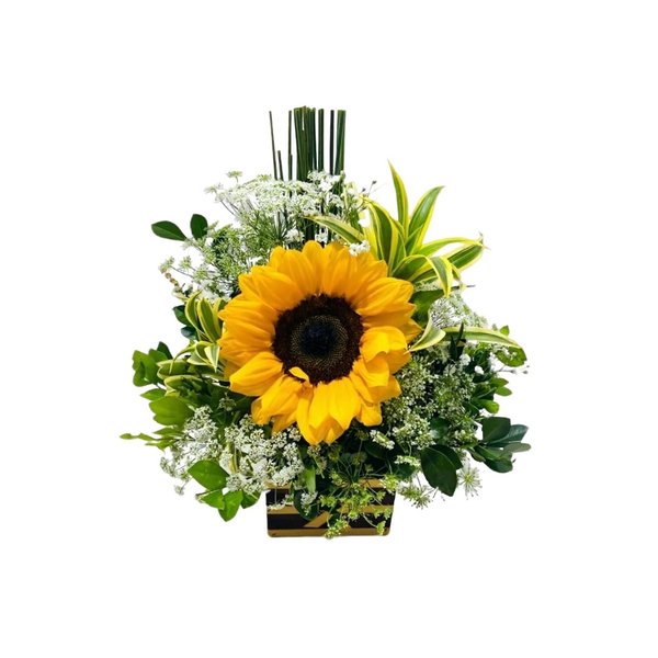 Arranjo de 1 Girassol no Cachepot 