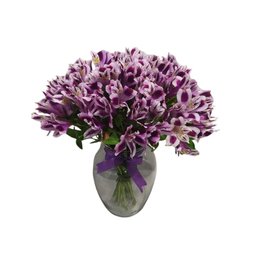 Imagem de Astromélias Lilás no Vaso