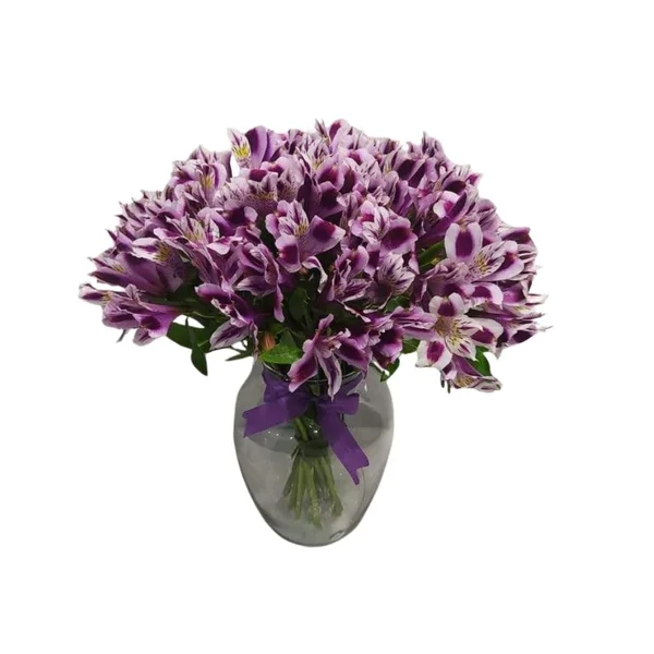 Astromélias Lilás no Vaso
