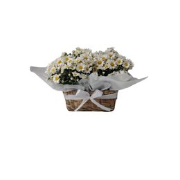 Imagem de Margaridas no Cachepot de Palha