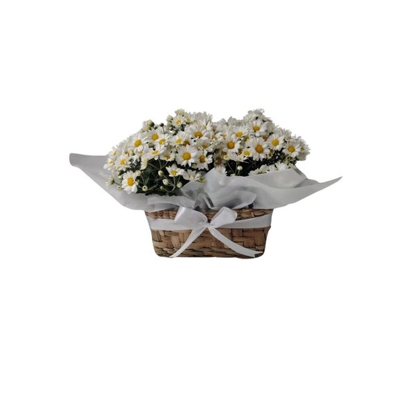 Margaridas no Cachepot de Palha