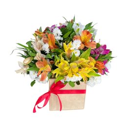 Imagem de Caixa de Astromélias Coloridas