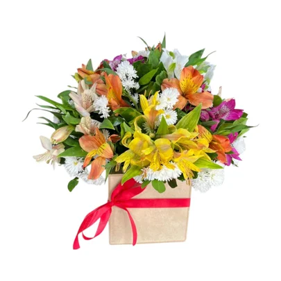 Caixa de Astromélias Coloridas