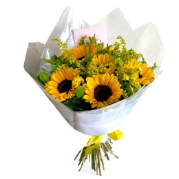 Imagem de Buquê de 6 Girassóis Especial 