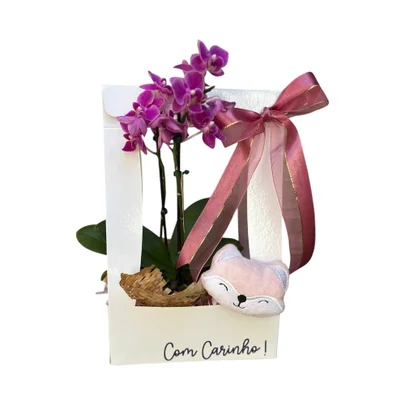 Orquídea com Naninha