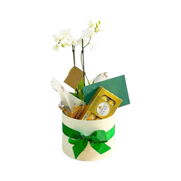 Imagem de Box Orquídea e Chocolate Ferrero Rocher