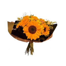 Imagem de Buquê 10 Girassóis Premium